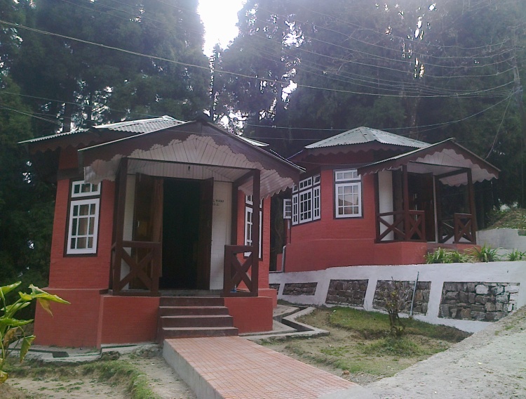 Forest Accommodation