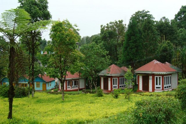 Loleygaon Forest Lodge