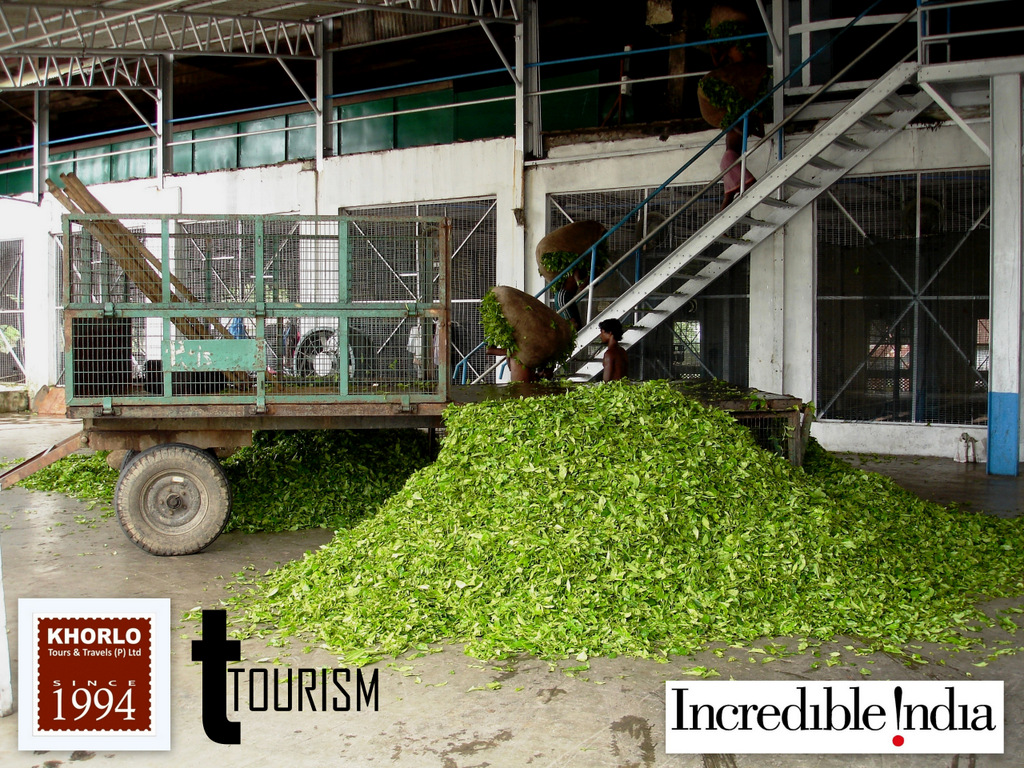 T Tourism with Nilanjan (2)